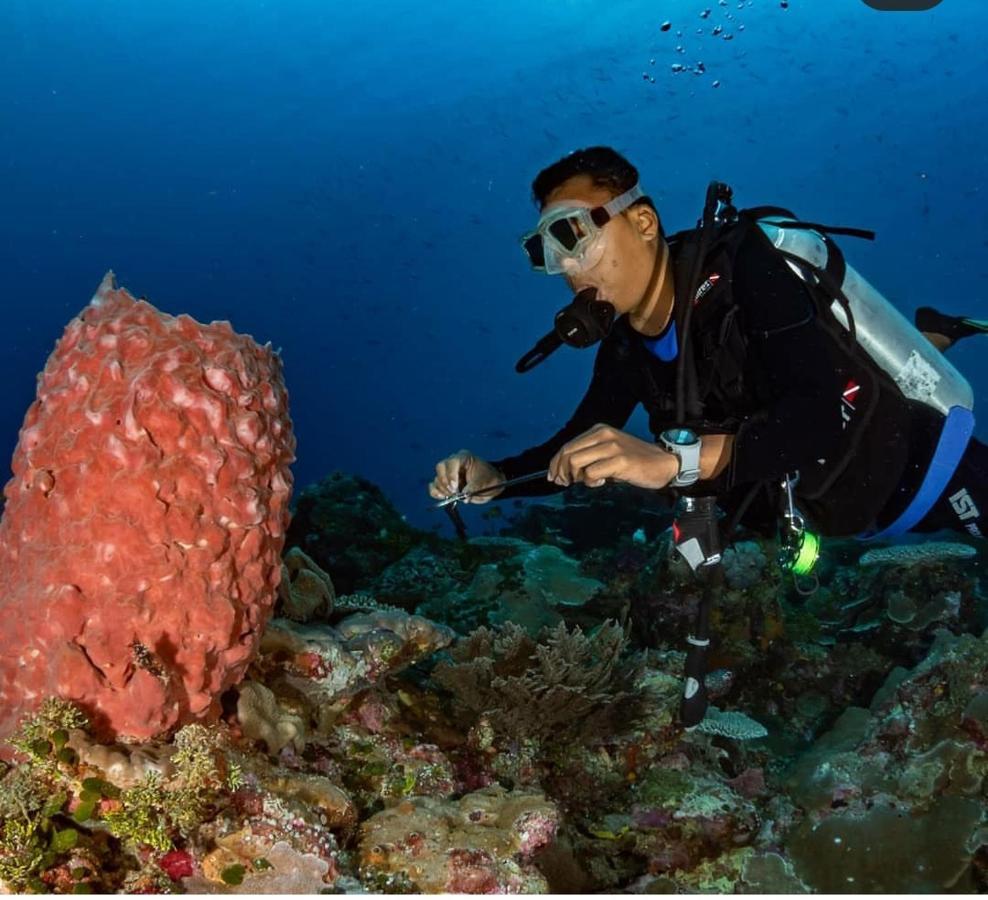 马林德潜水生态度假村 Waha 外观 照片